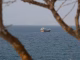 Strait of Hormuz amid tensions involving Iran and the United States